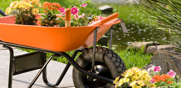 Transforming Your Garden – Top Landscaping Ideas for Every Homeowner