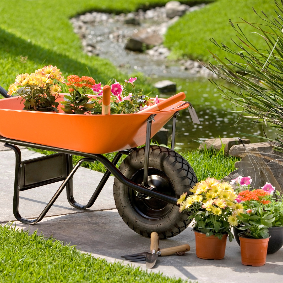 Transforming Your Garden – Top Landscaping Ideas for Every Homeowner